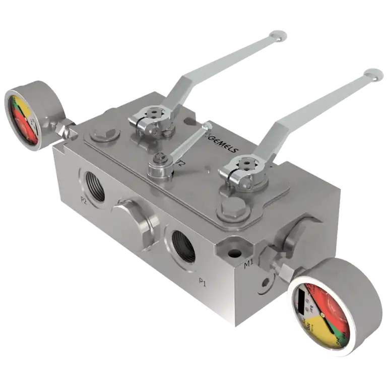 Custom valve by Gemels